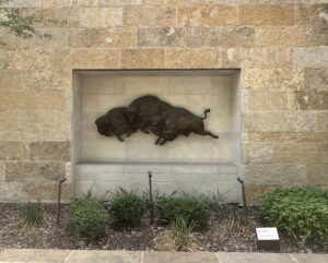 Sandy Scott (b. 1943), "Briscoe Bison", 2013, Bronze. Gift of the Jack and Valerie Foundation. In honor of Judge Nelson and Tracy Wolff.
