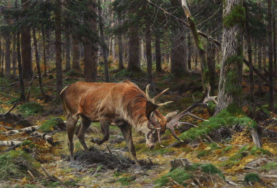 Friese - Deer in a Forest Glade