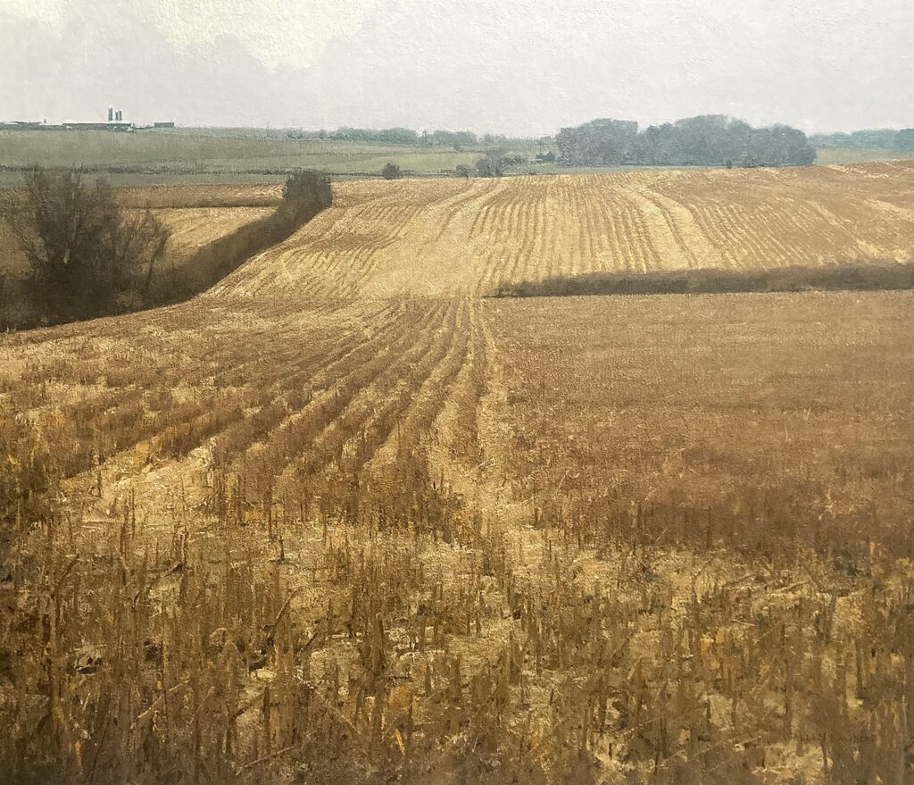 T Allen Lawson, Fields of Gold, Oil on linen on cradled panel, 36 x 42 in