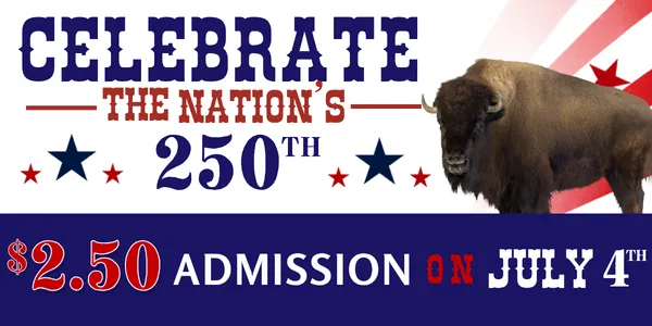 Thursday Tours (Free with Admission)