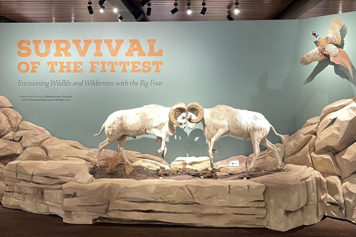 Survival of the Fittest Exhibition